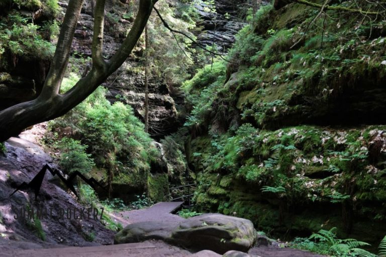Schwedenlöcher im Nationalpark Sächsische Schweiz.