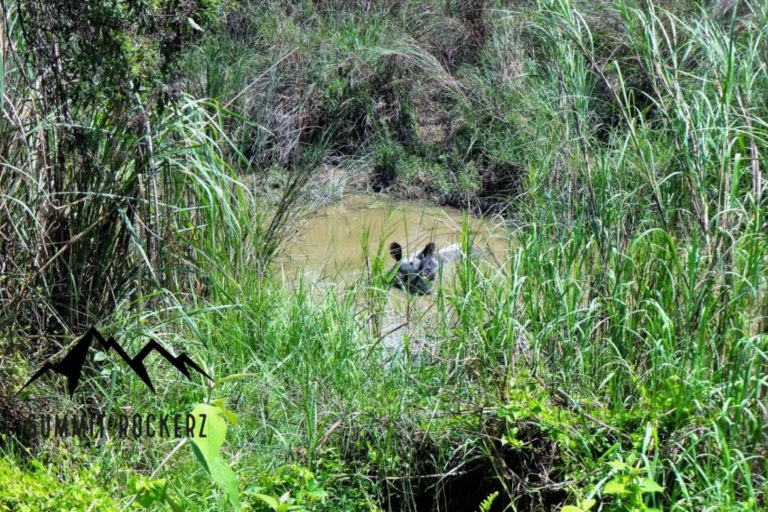 Chitwan Nationalpark