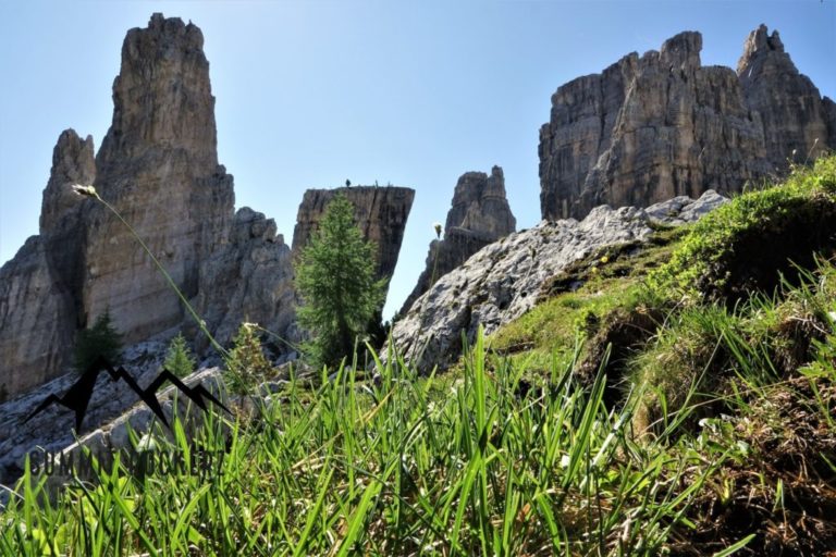 Cinque Torri_7