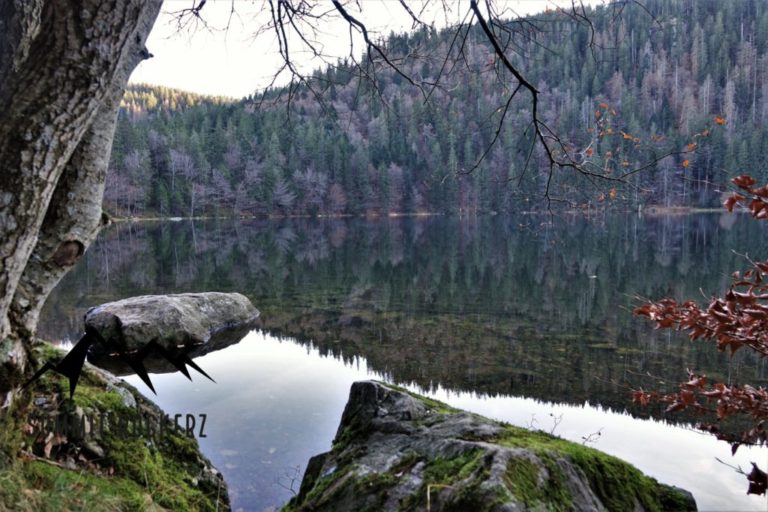Feldbergsteig