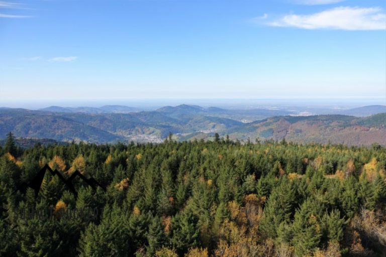 Hochmoor Kaltenbronn