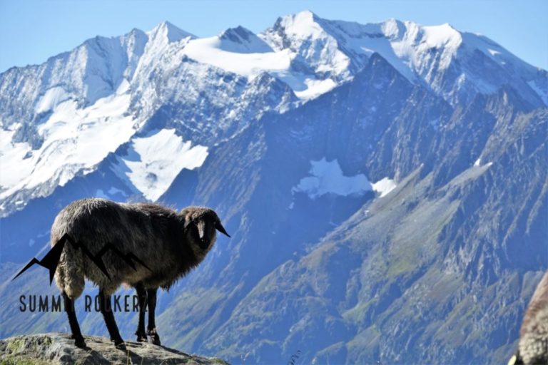 Olpererhuette Grosse Rundtour