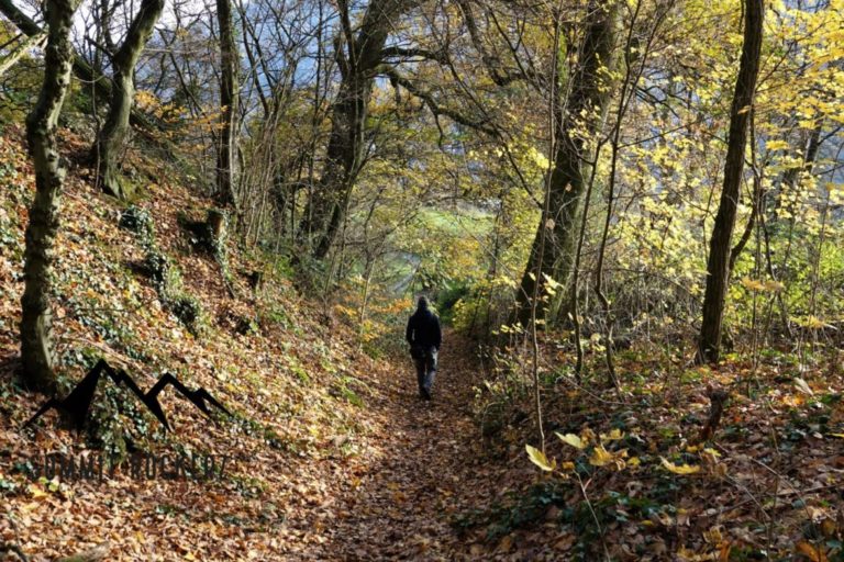 Philosophenweg