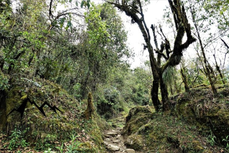 Poon Hill Trek