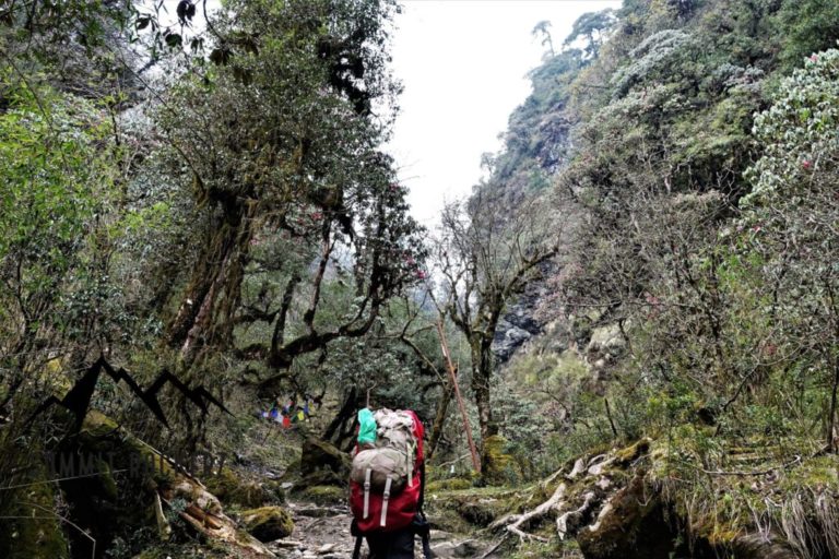 Poon Hill Trek