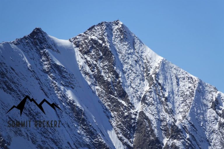Schoenbichler Horn