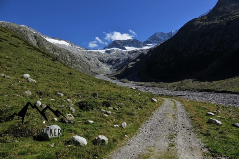 Schoenbichler Horn