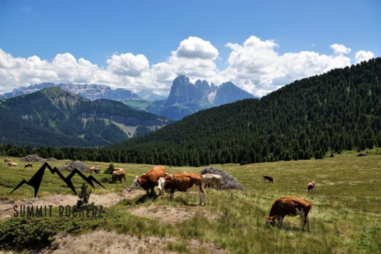Seceda