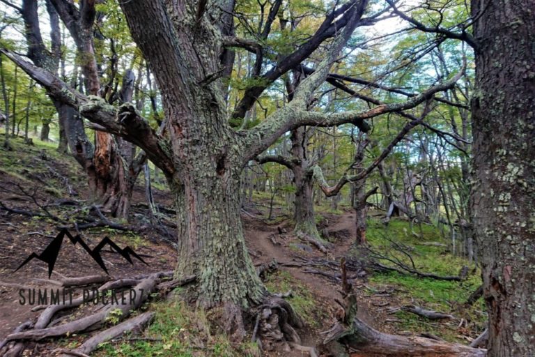 Torres del Paine Alternatives W