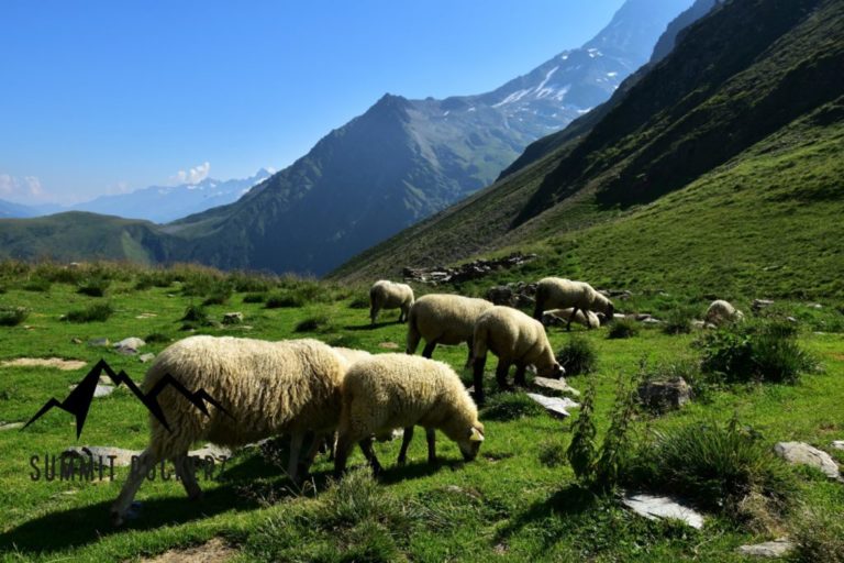 Tour du Mont Blanc