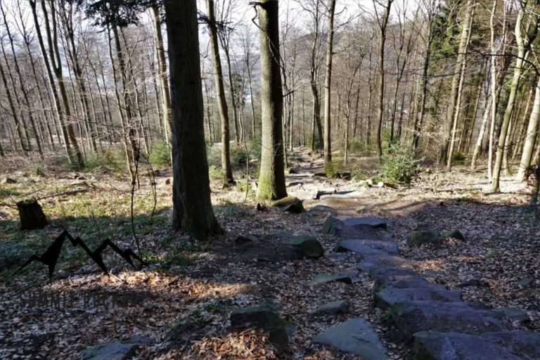 Koenigstuhl
