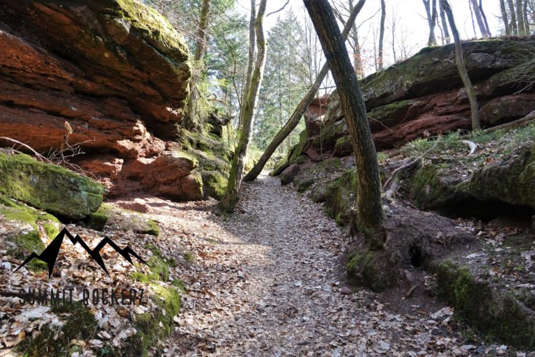 felsenwald