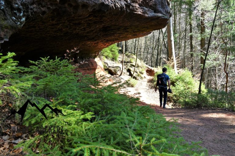 felsenwald