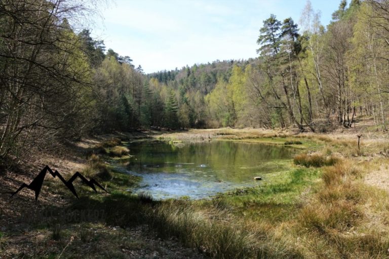 ungeheuersee