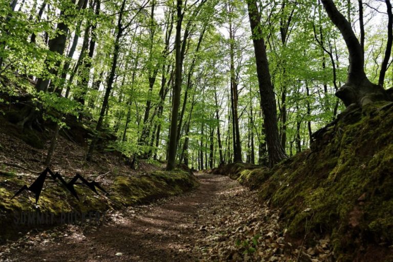 erweiterter-annweiler-burgenweg