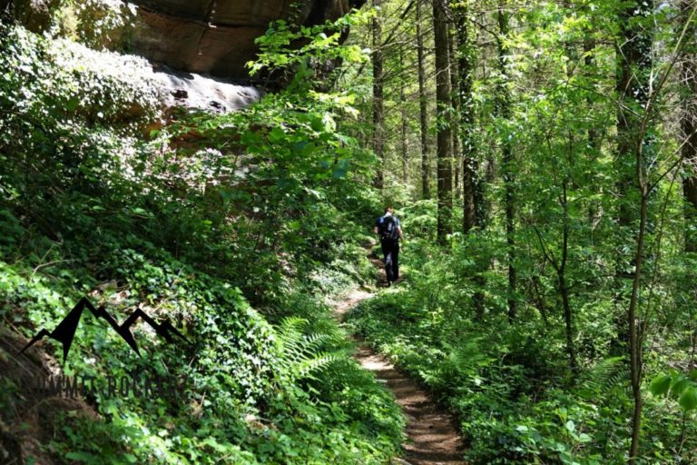 rodalber-felsenwanderweg
