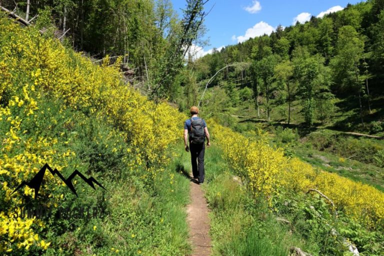 rodalber-felsenwanderweg