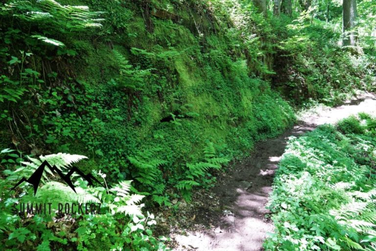 rodalber-felsenwanderweg