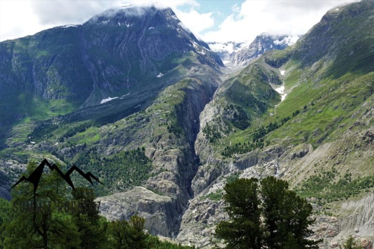 bettmerhorn