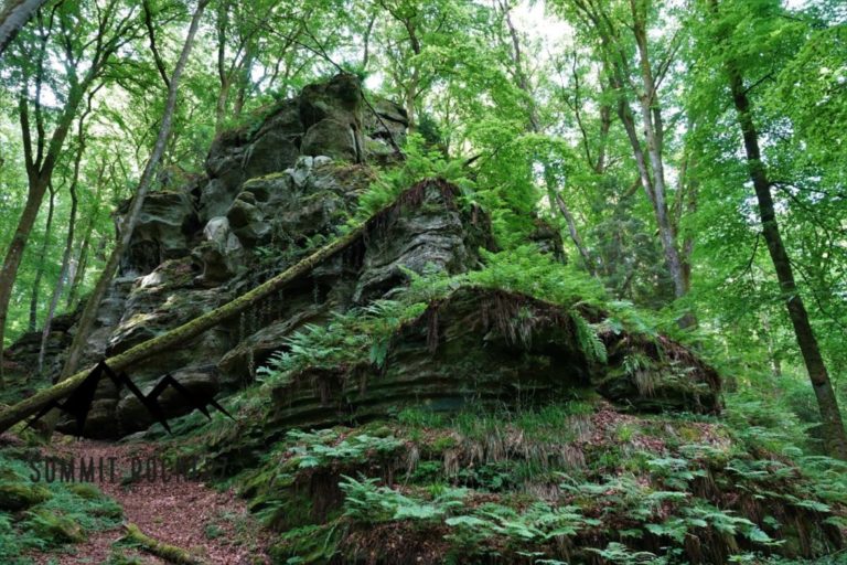 mullerthal-trail-route-2