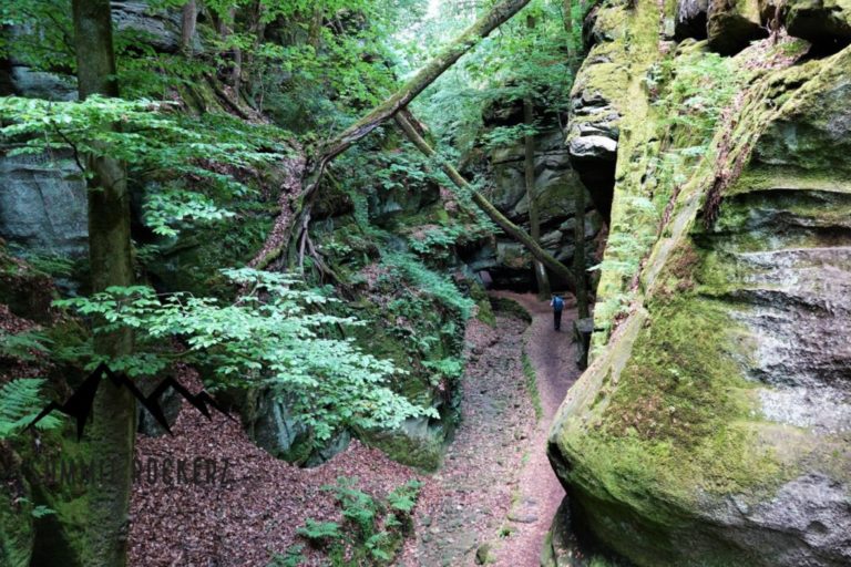mullerthal-trail-route-2