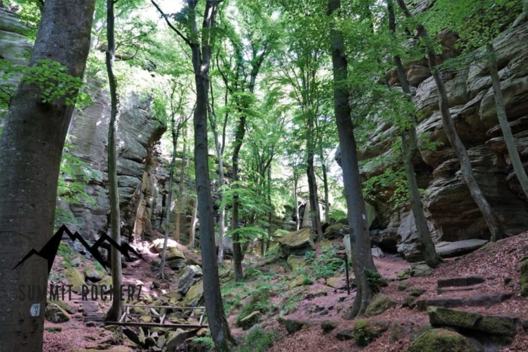 mullerthal-trail-route-2