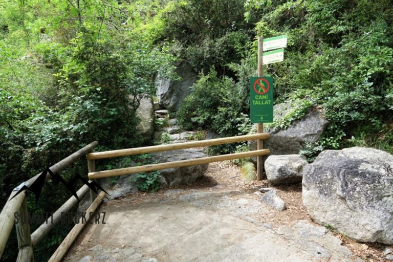 rec-del-sola