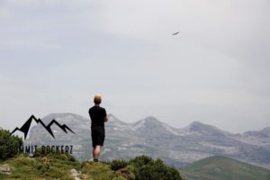 Gänsegeier beim Pico Mondoto