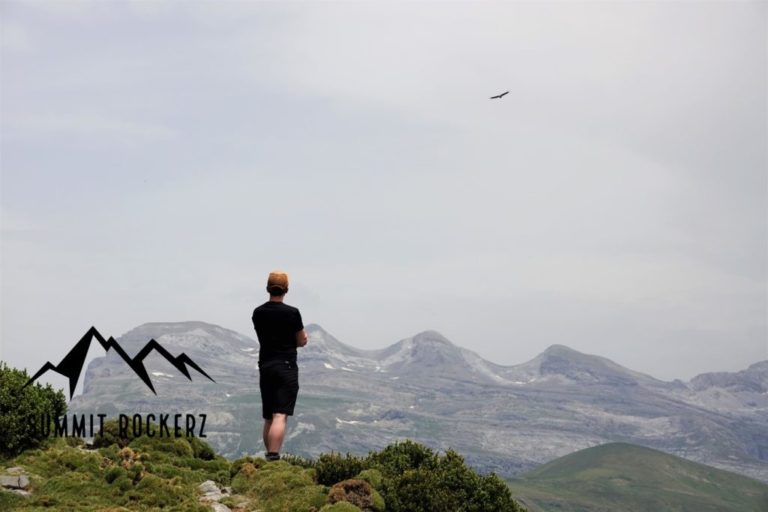 Gänsegeier beim Pico Mondoto
