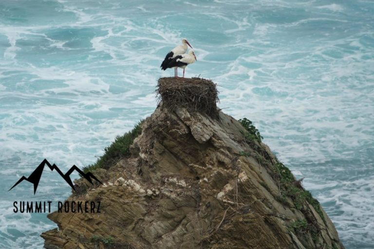 fishermens-trail-rota-vicentina