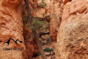 two bridges bryce canyon