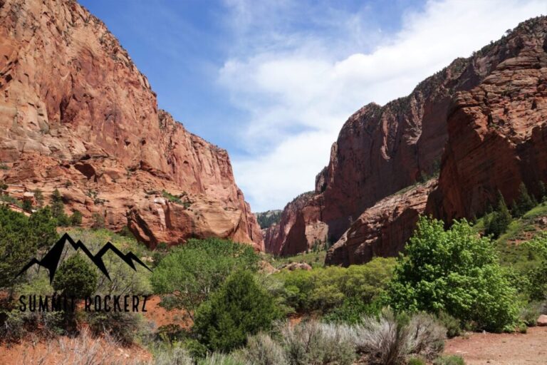south-fork-taylor-creek-trail