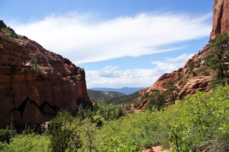 south-fork-taylor-creek-trail