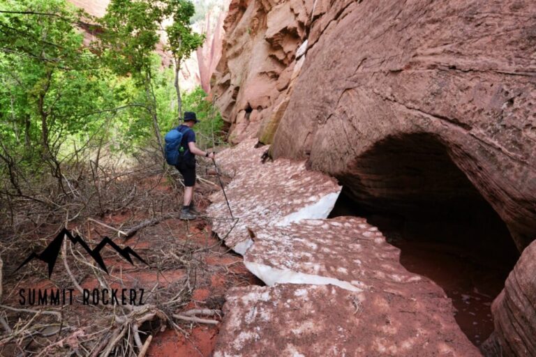 south-fork-taylor-creek-trail