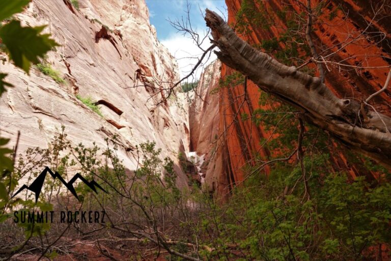 south-fork-taylor-creek-trail