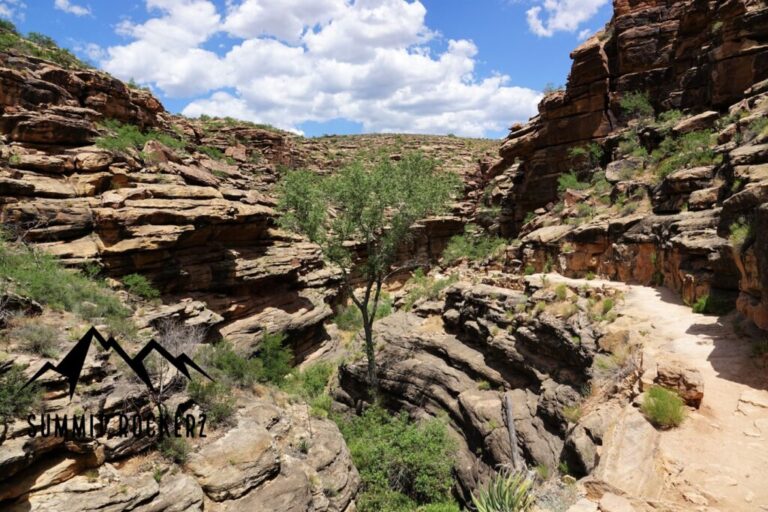 grand-canyon-rim-to-river-to-rim-19