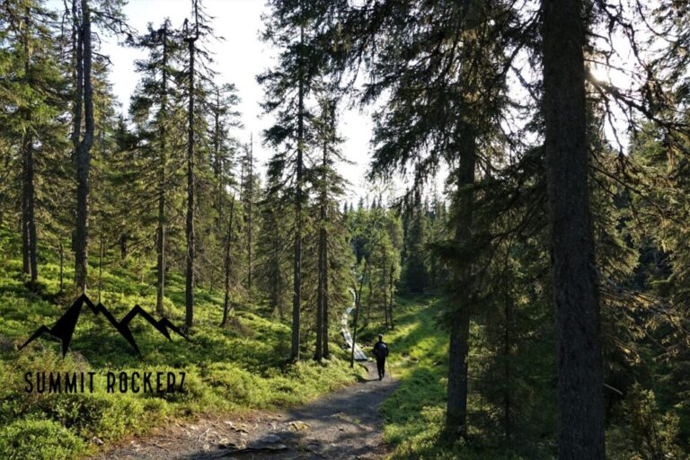 valtavaara-10