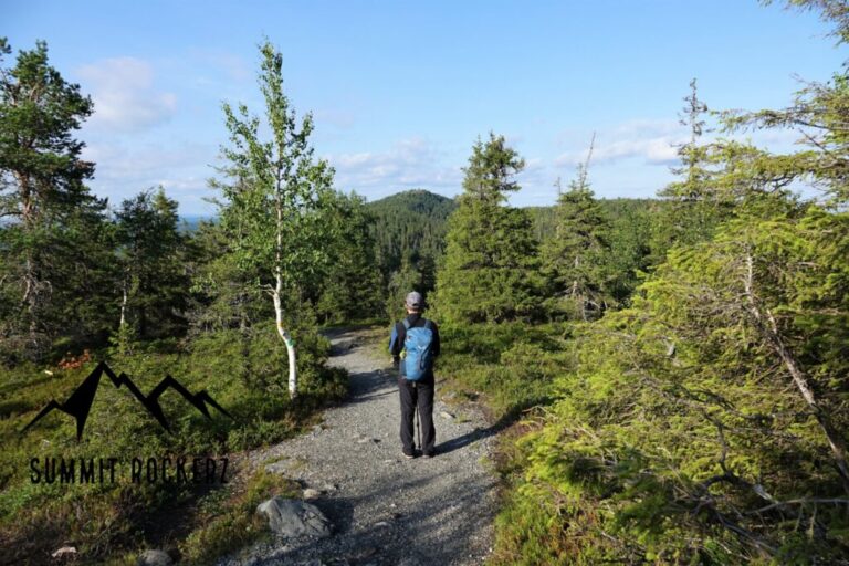 valtavaara-2