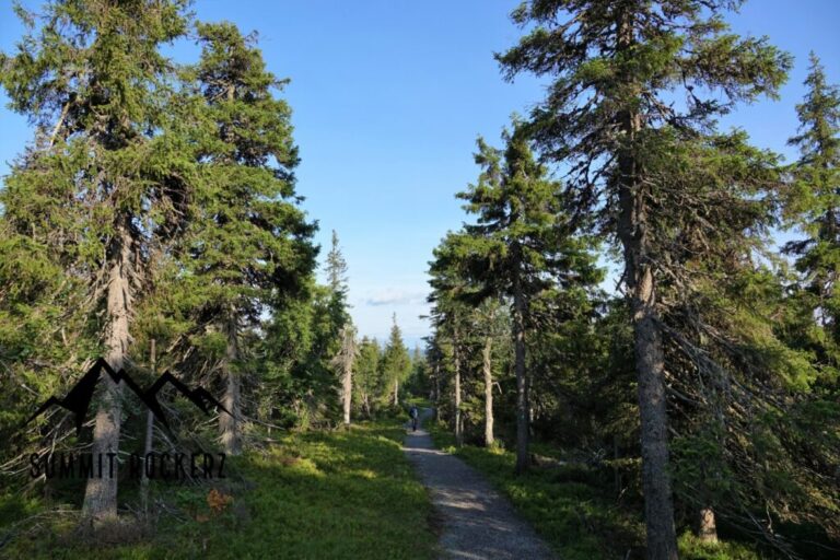 valtavaara-9