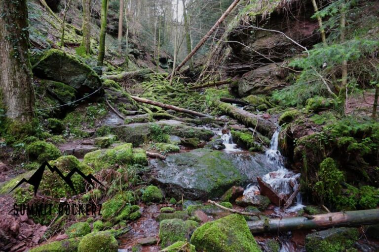 wolfsschlucht-8