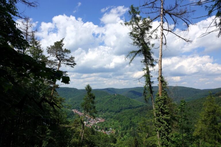 orensfels-2