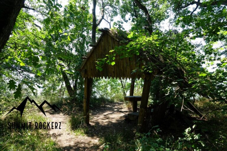 loczy-lajos-nature-trail-8