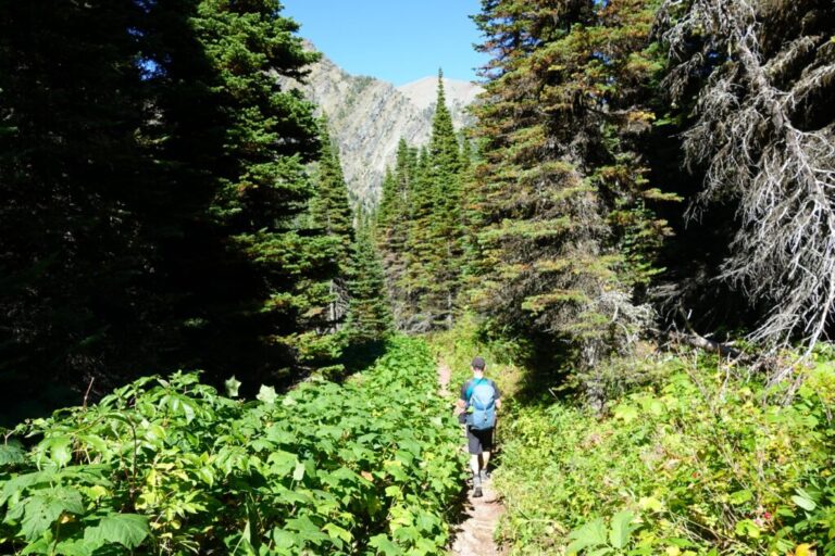 carthew-alderson trail (14)