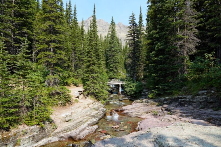 iceberg-lake-trail (4)