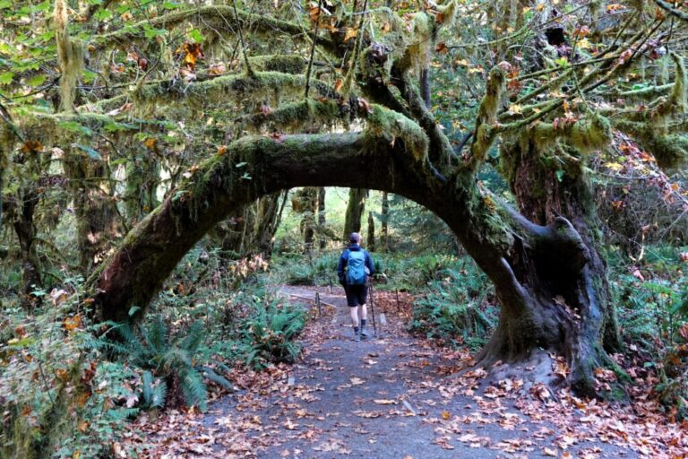 hall-of-mosses (5)