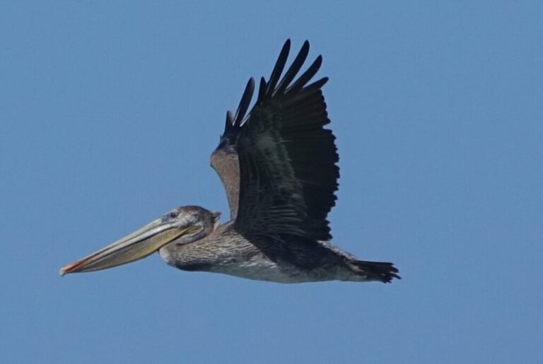 hole-in-the-wall-trail (3)