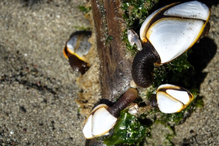 hole-in-the-wall-trail (4)