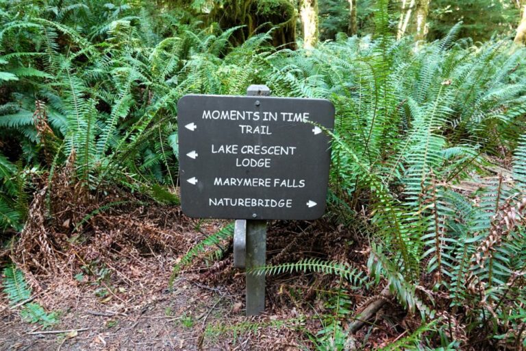 moments-in-time-trail (0)