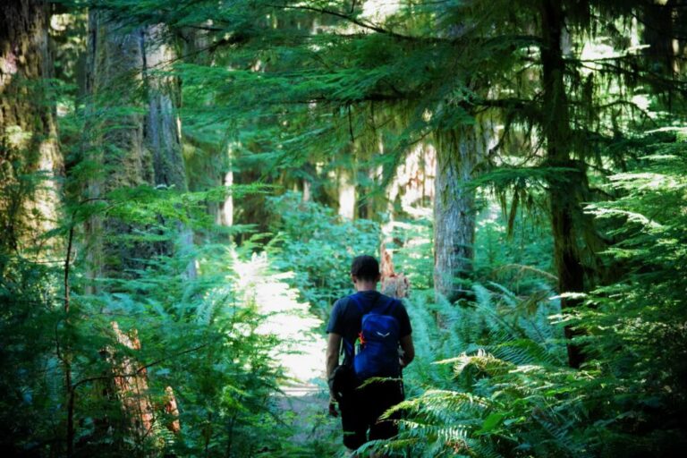 moments-in-time-trail (7)