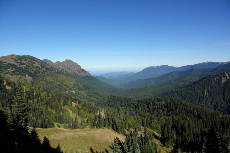 mount-angeles (1)